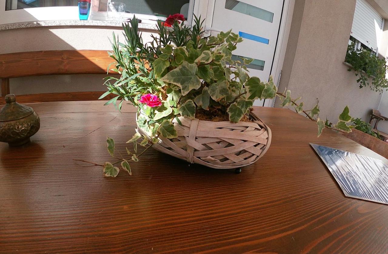 Tiktok Apartment ซาดาร์ ภายนอก รูปภาพ